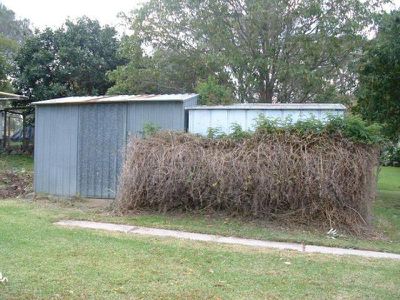 52 Voyager Crescent, Bawley Point