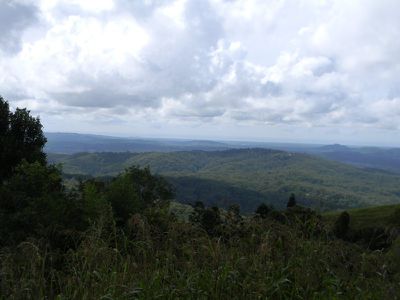 Maleny