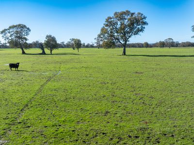 'Willowbank' Urana Road, Jindera