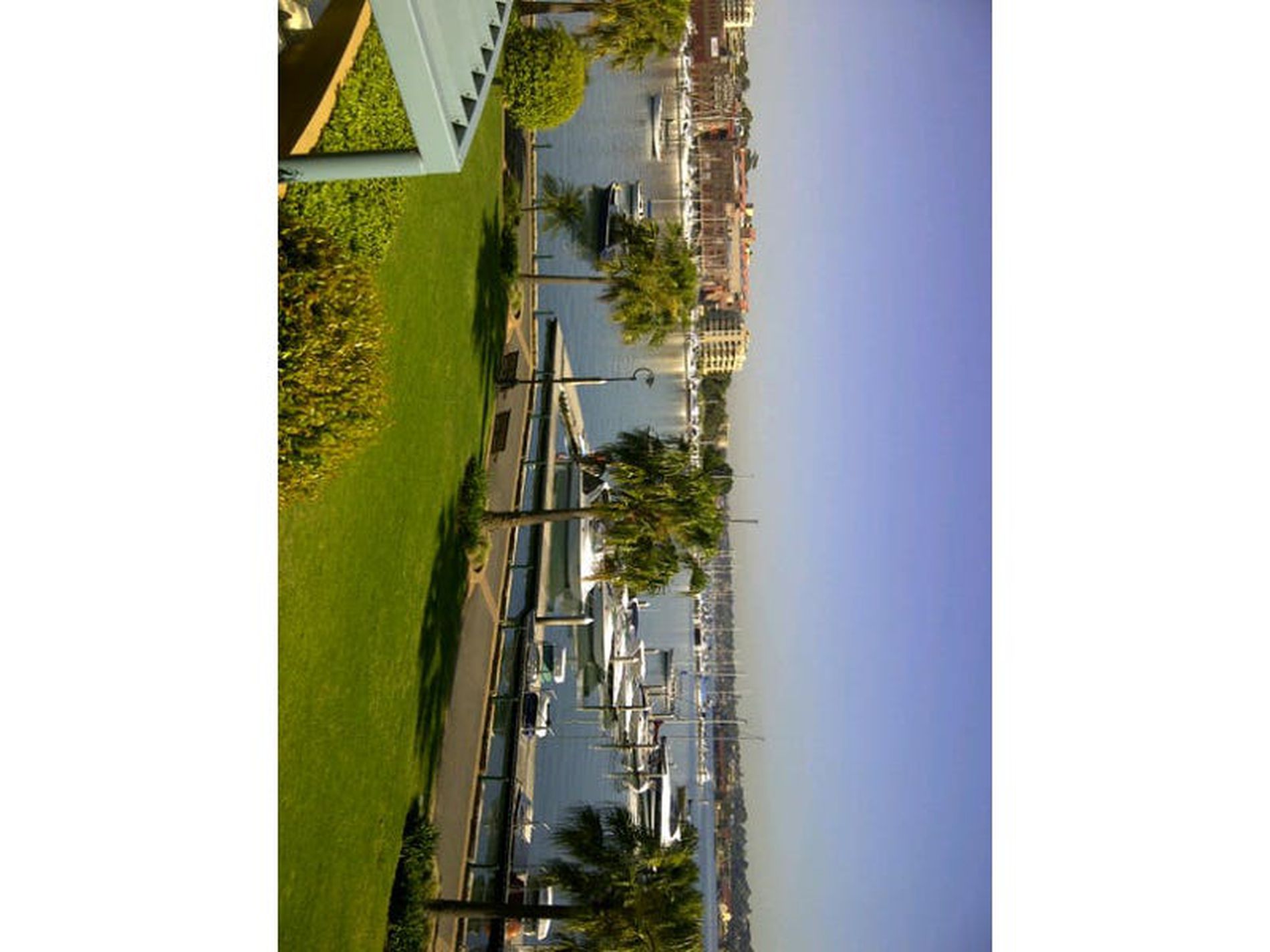 Rozelle