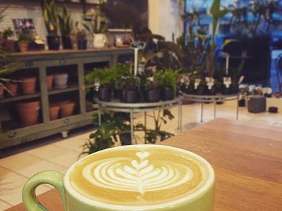 Vegan Cafe Business for Sale Maidstone