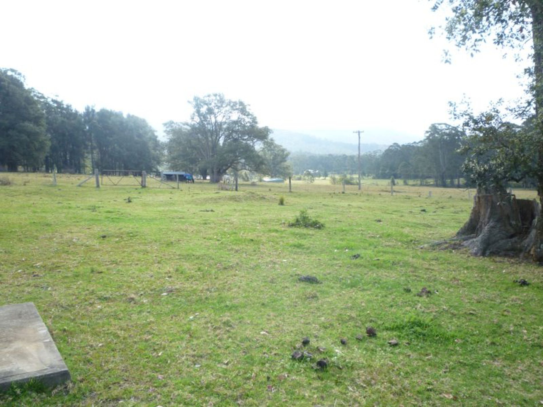 F1560 Princes Highway, Termeil