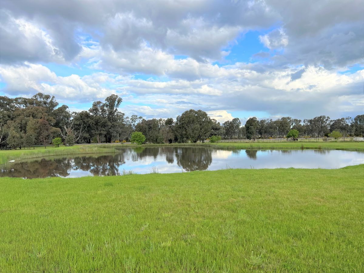 737 Lake Mokoan Road, Chesney Vale