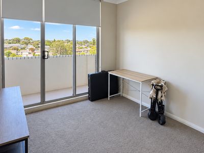 Mount Druitt