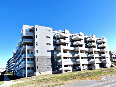 168 / 41 Philip Hodgins Street, Wright