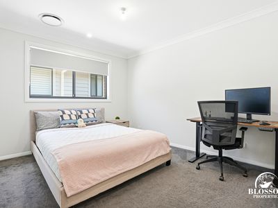 9  Flametree Drive, Marsden Park