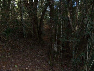 Maleny