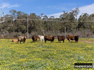 1237 Toodyay Road, Gidgegannup