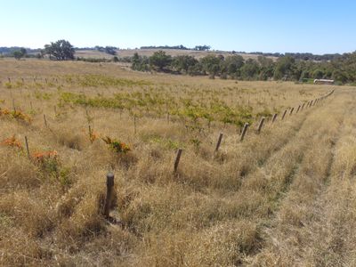Lot 2, 438  Adairs Lane, Heathcote