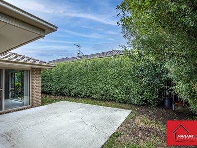 8 RENFREE STREET, Casey