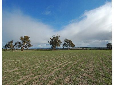 Brookton