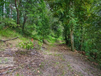 240 Stanger Road, Stony Chute