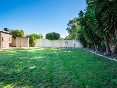 12 WINNELL COURT, Thurgoona