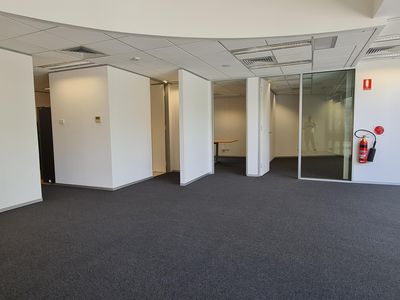 65 Canberra Avenue, Griffith