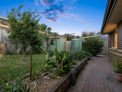 31 Tintagel Way, Mornington