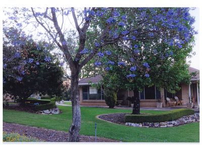 6 Rampadells Rise, Gunnedah