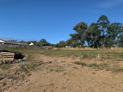 Lot 119 Cabbage Gum Place, Beechwood