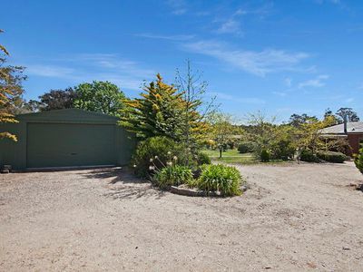 41 Barker Street, Harcourt