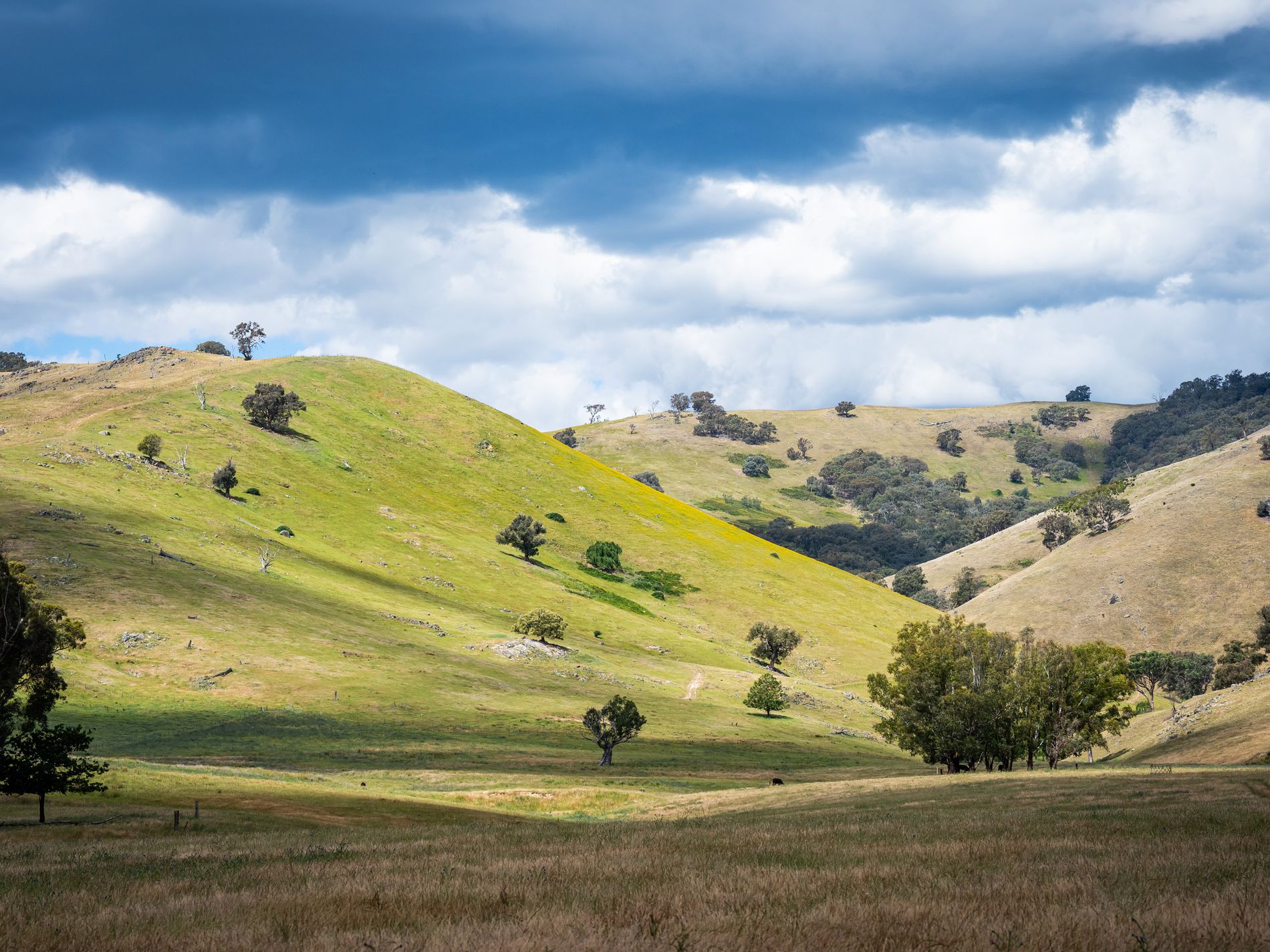 4118 Murray River Road, Thologolong