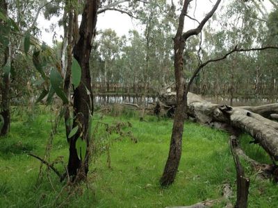 Tocumwal
