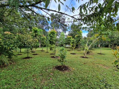 2 Lindsay Road, Malanda