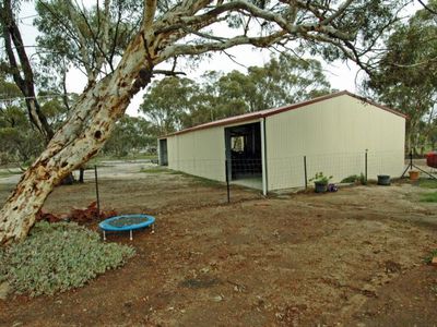 3987 QUAIRADING-YORK ROAD, Kauring