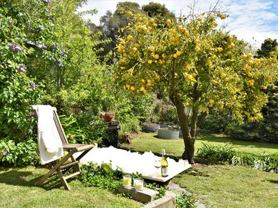 19 BUCKLAND GAP ROAD, Beechworth