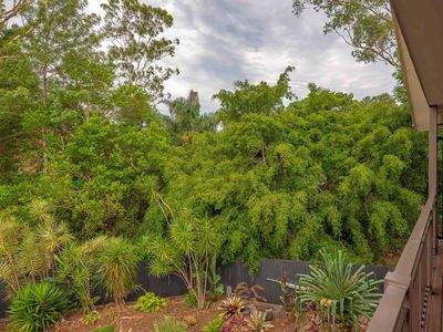 28 MERRIMAN COURT, Palmwoods