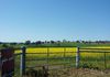 517 Peabody Road, Molong