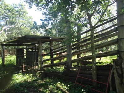 Poison Creek Road, Cooktown