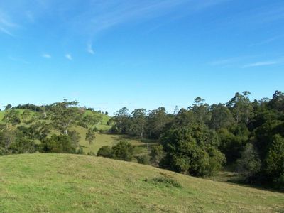 Maleny