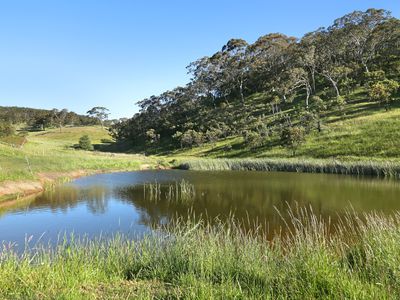 29 Rodert Road, Meadows