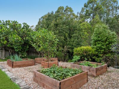60 Saint Augustines Drive, Augustine Heights