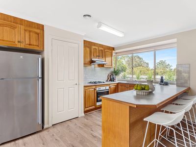 25 Wattle Bird Way, Langwarrin