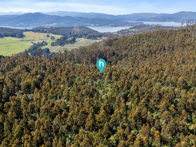 Lot 1, Huon Highway, Glendevie