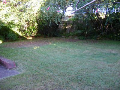 13 Waycott Avenue, Kingsgrove