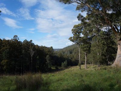 Lot 1 Kalonga Road, Nicholls Rivulet