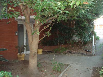 7 / 47 Phillip Street, Roselands