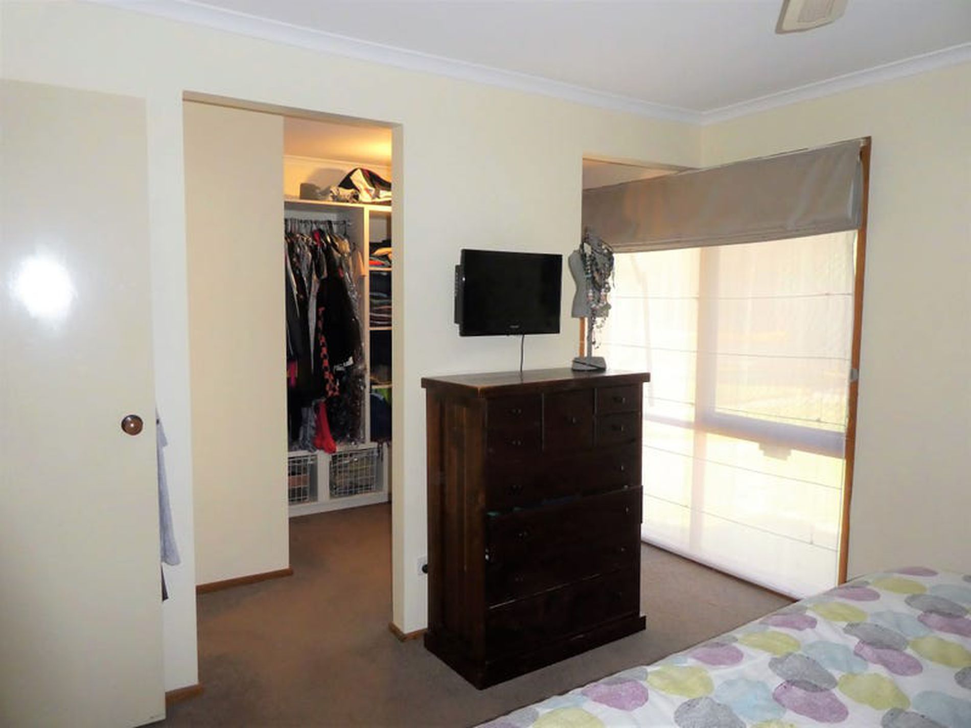 3 Mcclusky Ct, Seymour