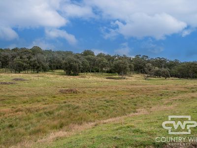 4291 Pinkett Road, Glen Innes