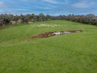 2269 Snow Road, Markwood