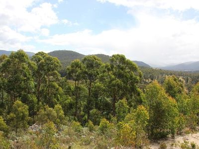 547 She Oak Road, Judbury