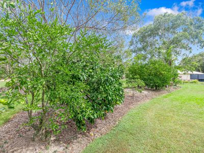 58 Eucalypt Way, Cootharaba