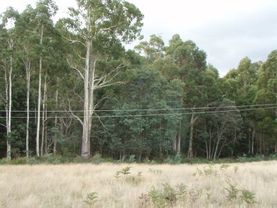 Lot 4 Holmes Road, Ellendale
