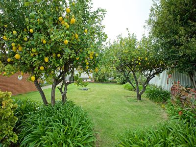 289 Grand Promenade, Doubleview