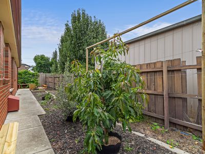 3 / 34 Dundas Street, Sale