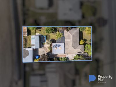 50 Specimen Hill Road, Golden Square