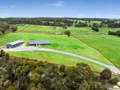 49 Wheeo Road, Grabben Gullen