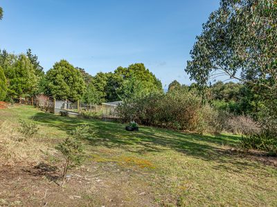 132 Judds Creek Road, Judbury