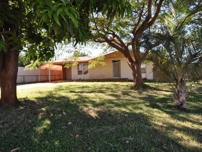 17 Yanboombah Close, Newman